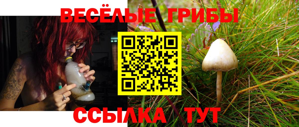 МЕФ Светлоград
