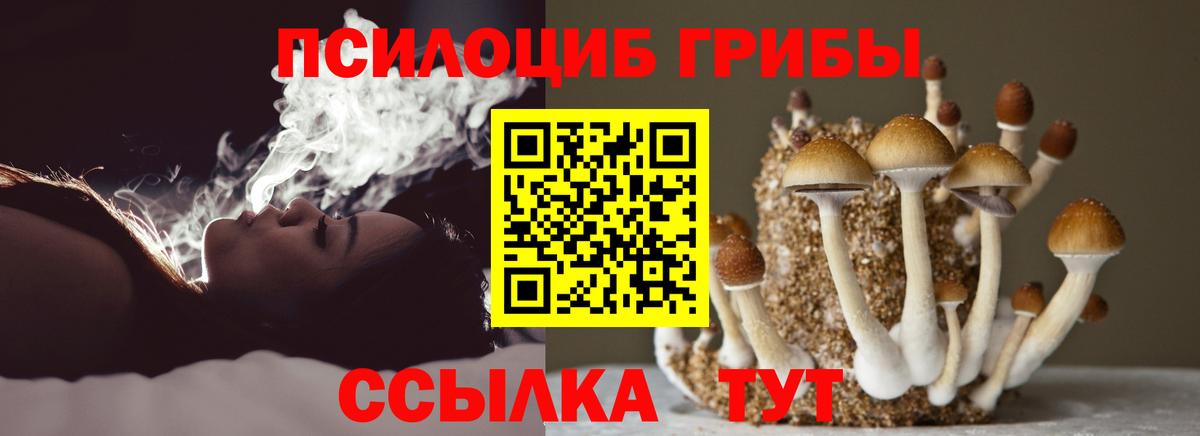 Псилоцибиновые грибы ЛСД  Вход с VPN  Псилоцибиновые грибы прущие грибы  Светлоград 